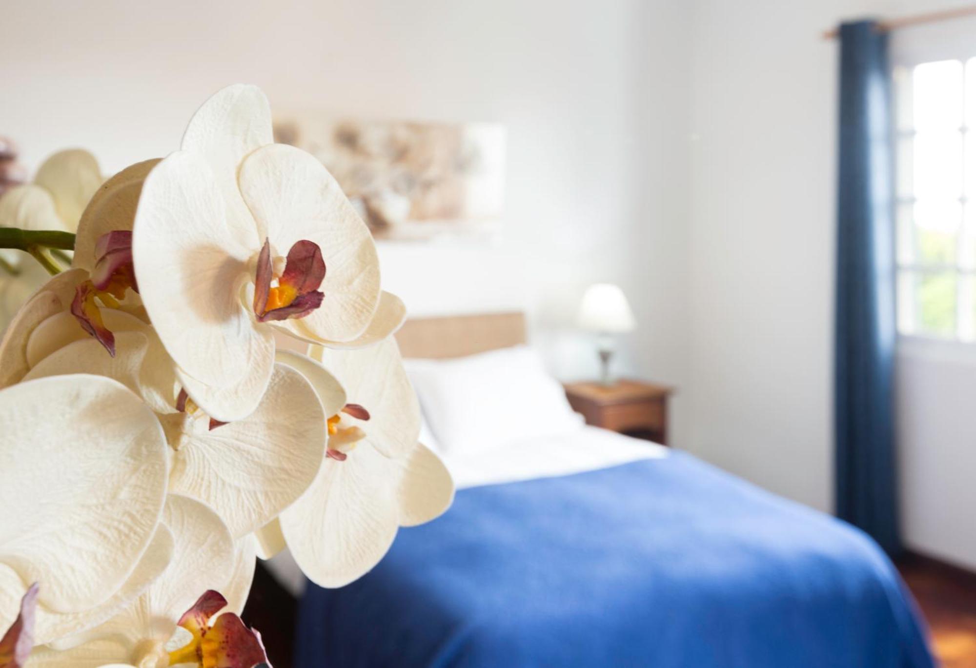 Charming Apartments In Funchal - Sao Goncalo Room photo